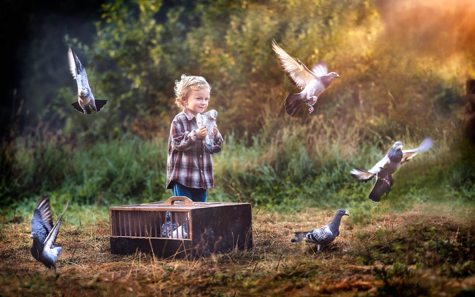 Мальчик и птица полностью. Мальчик и птица. Дети голубей. Фотосессия с голубями. Мальчик с голубем.