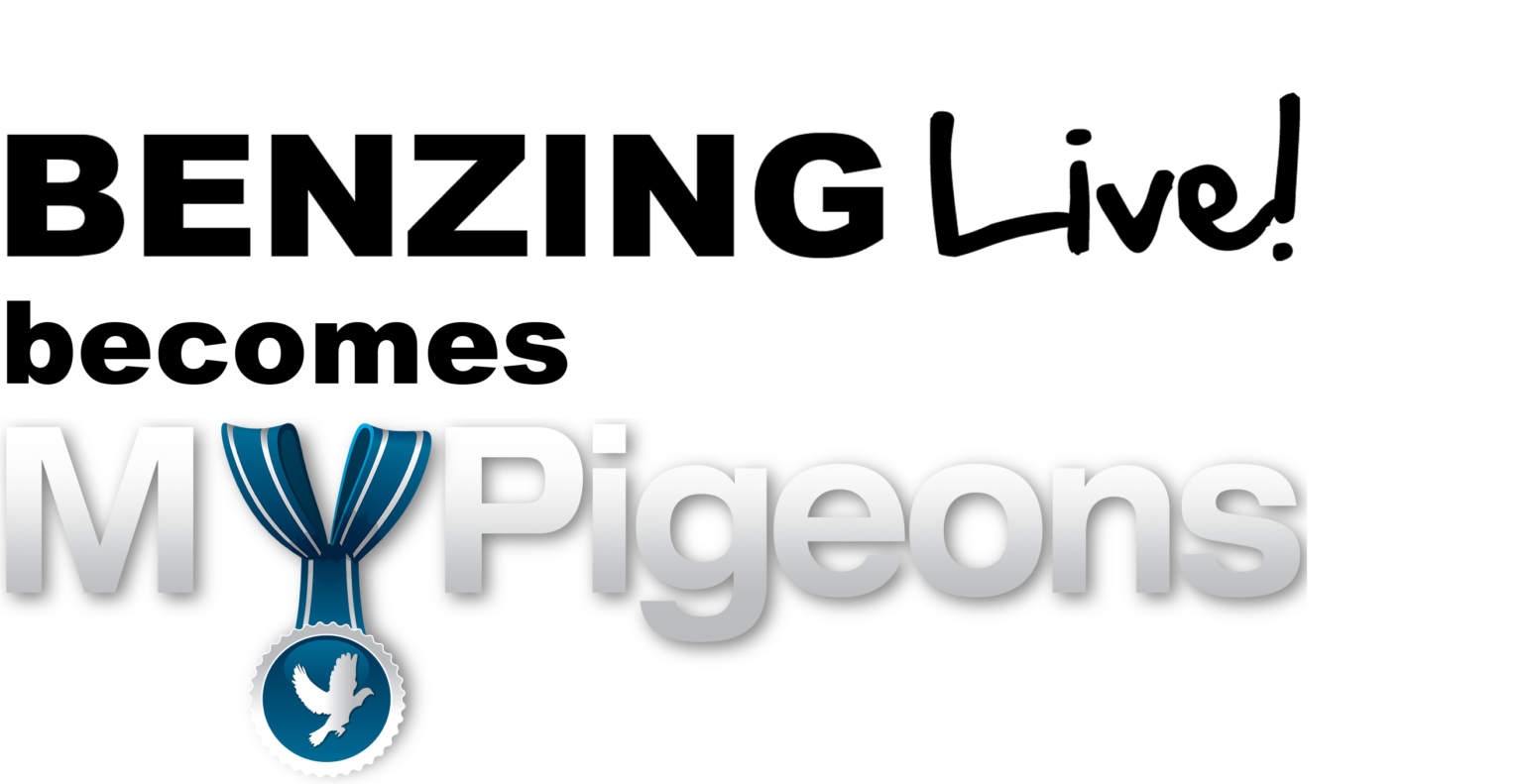 BENZING Live MyPigeons BENZING